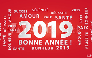 Meilleurs Voeux 2019