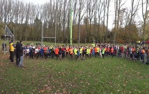 cross de ST Omer